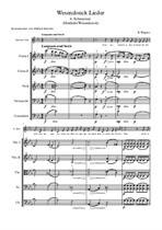 Wesendonck Lieder, No.4 Schmerzen (Mathilde Wesendonck)