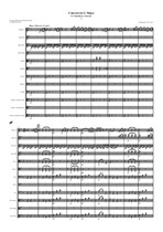 J. N. Hummel: Mandolin Concerto G-dur, I-st movement